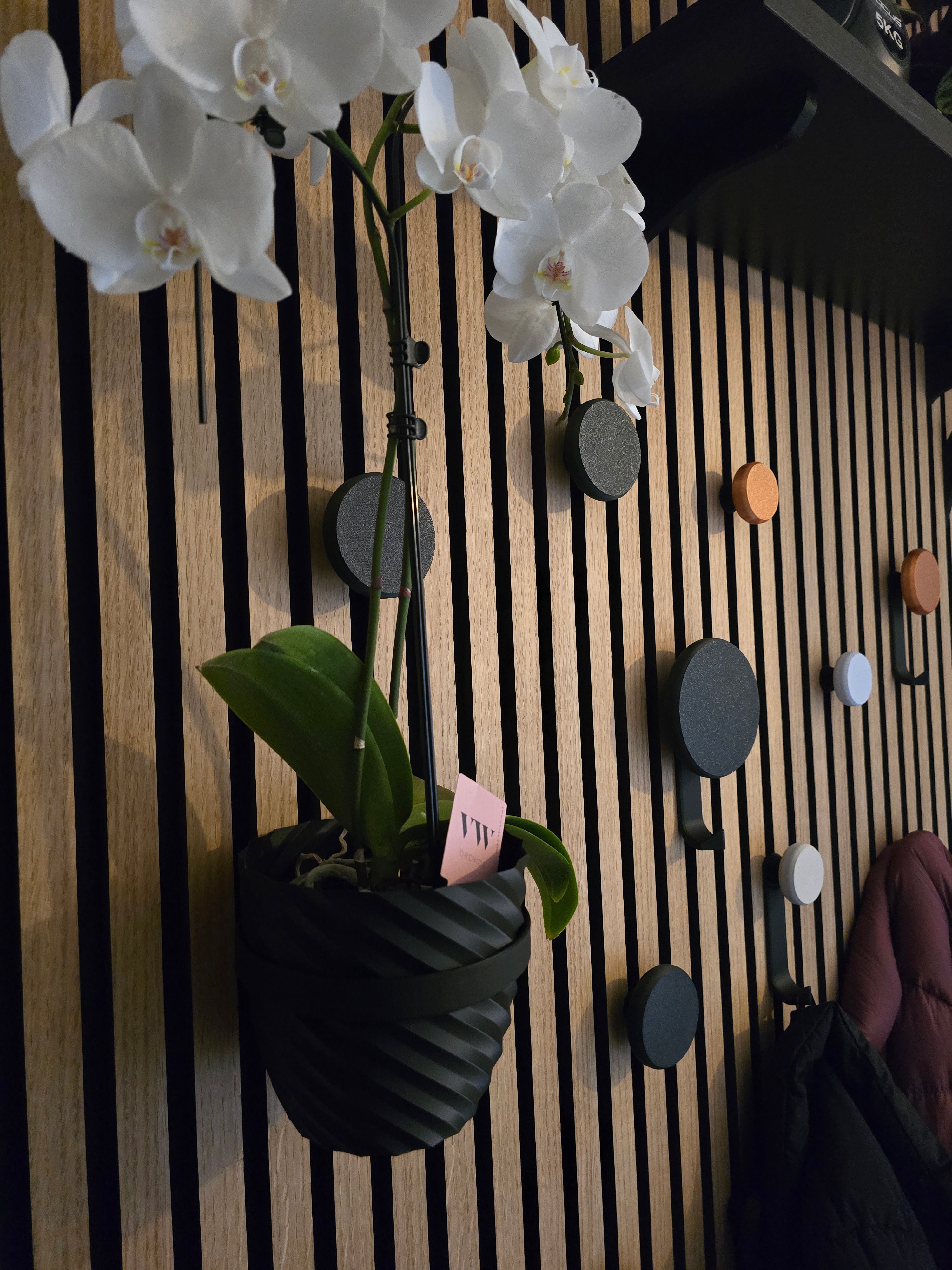 Ronde hanger/haak voor akoestische panelen - Installatietype: Schroef-in