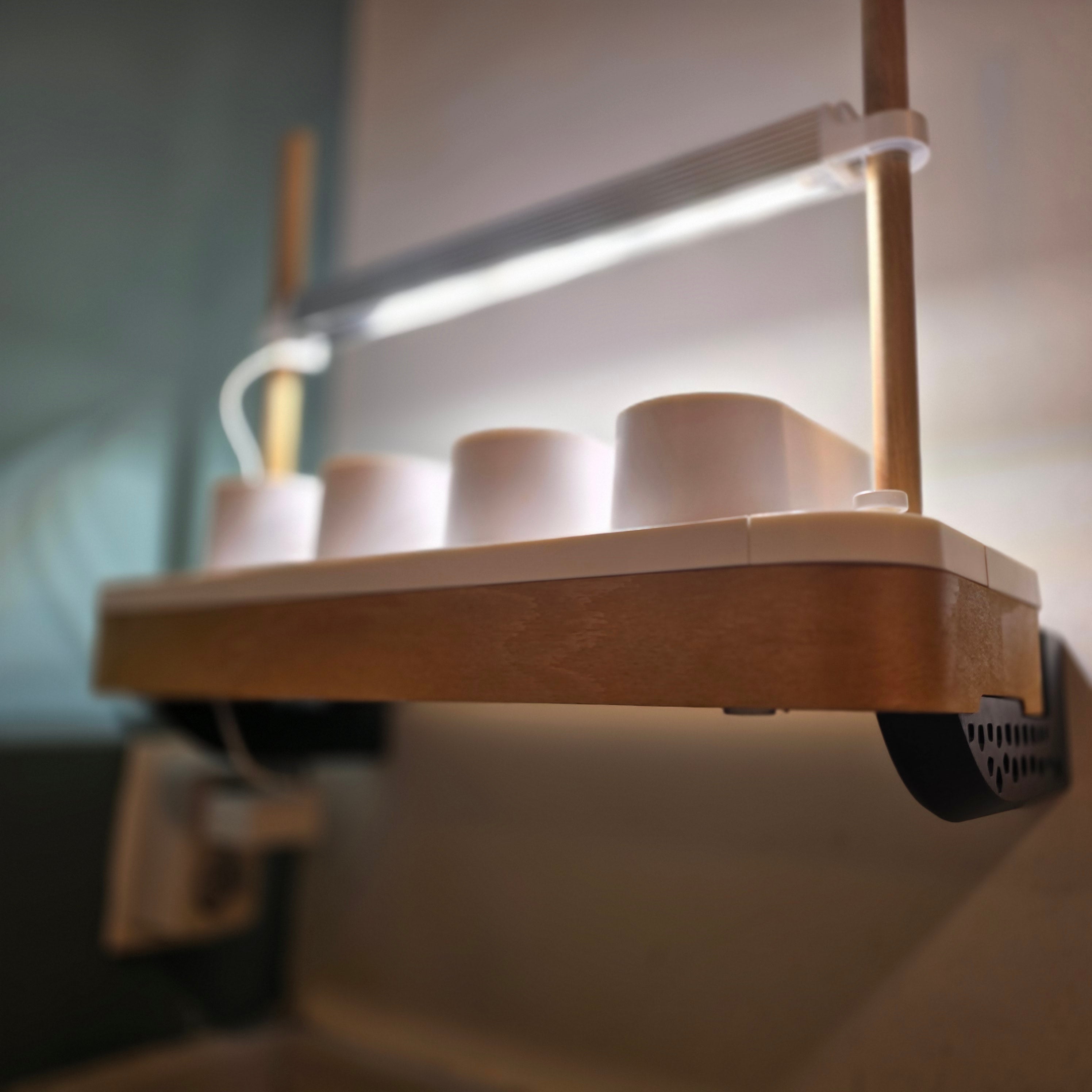 Wall mounts for AUK Mini - Universal Wall Mount - by WallTune