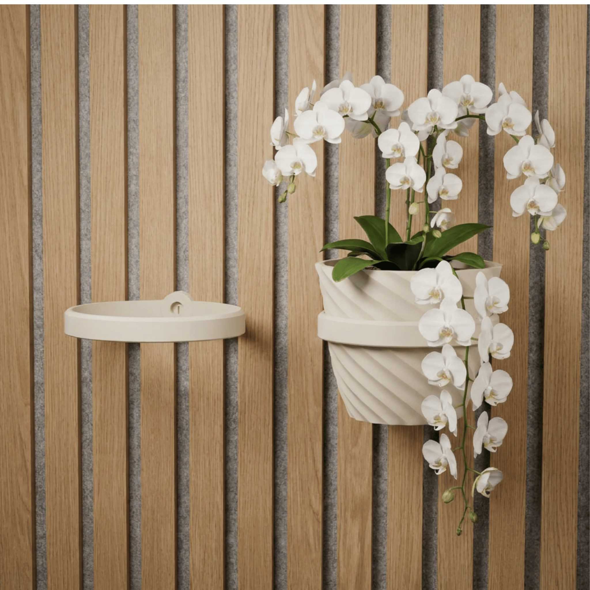 Support/anneau pour plante – Installation : clip mural