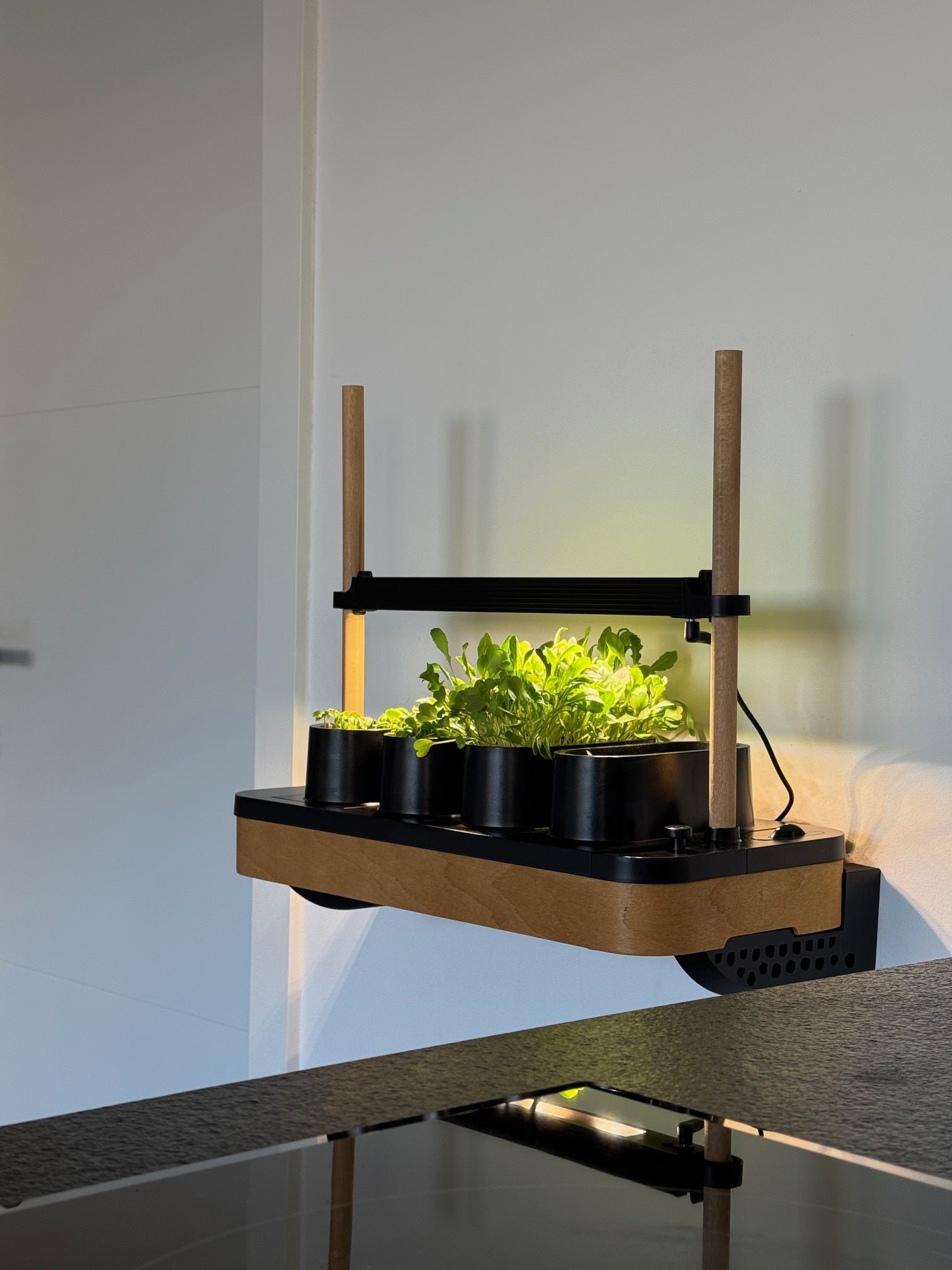 Wall mounts for AUK Mini - Universal Wall Mount - by WallTune