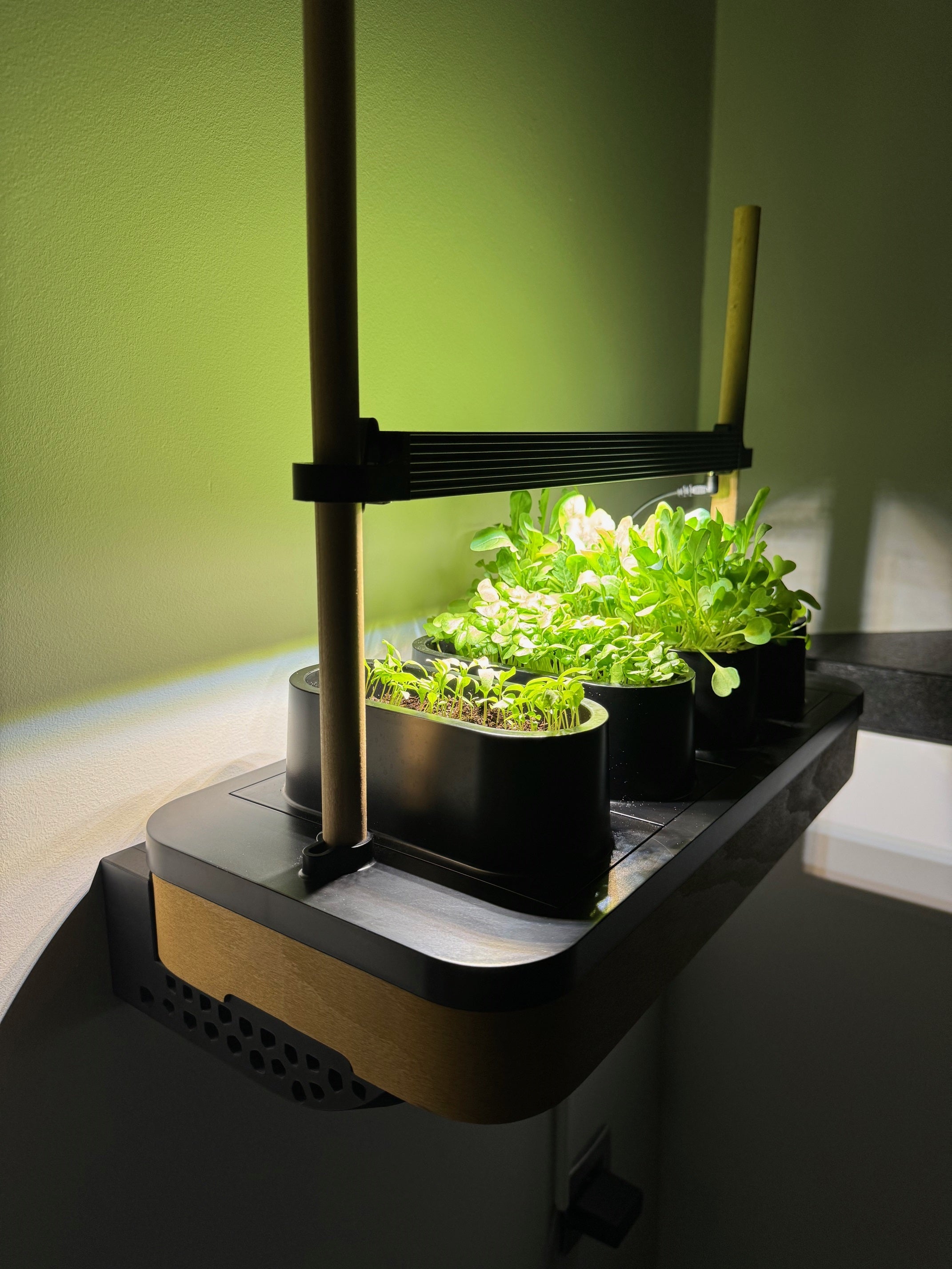 Wall mounts for AUK Mini - Universal Wall Mount - by WallTune