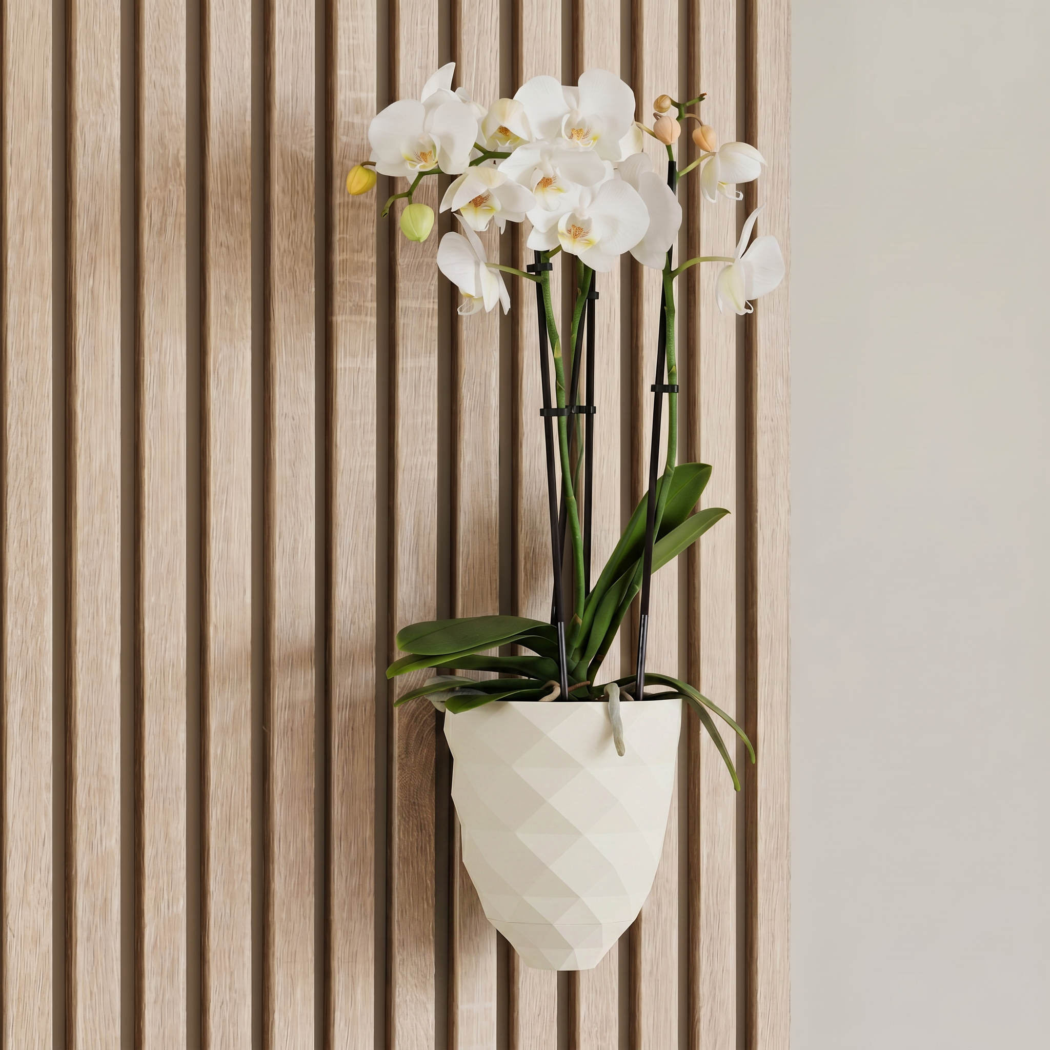 Direct mount plant vase - Installation: Wall Clip