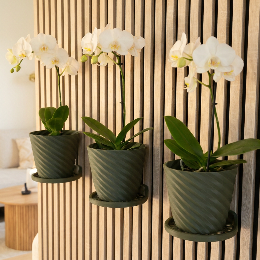 Round Tray/Shelf for Acoustic Panels - Installation type: Wall Clip