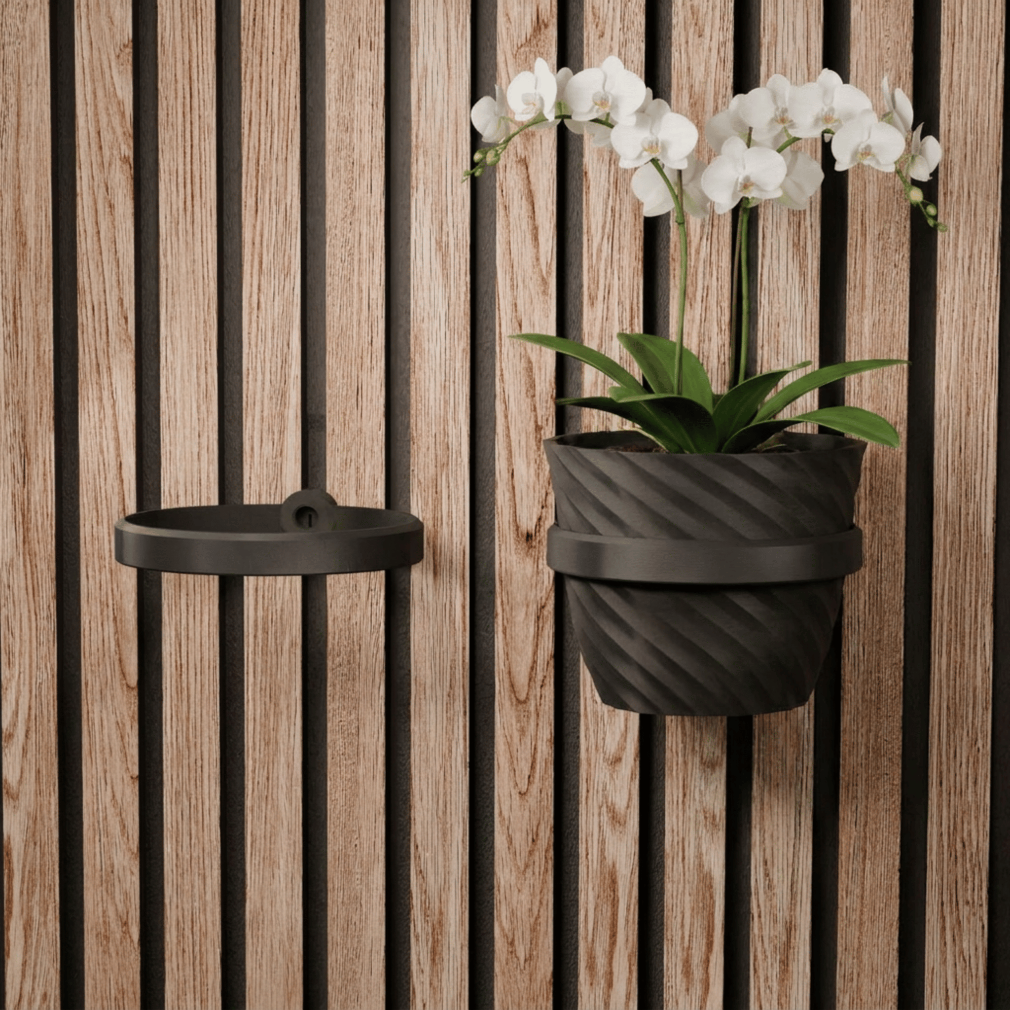 Support/anneau pour plante – Installation : clip mural