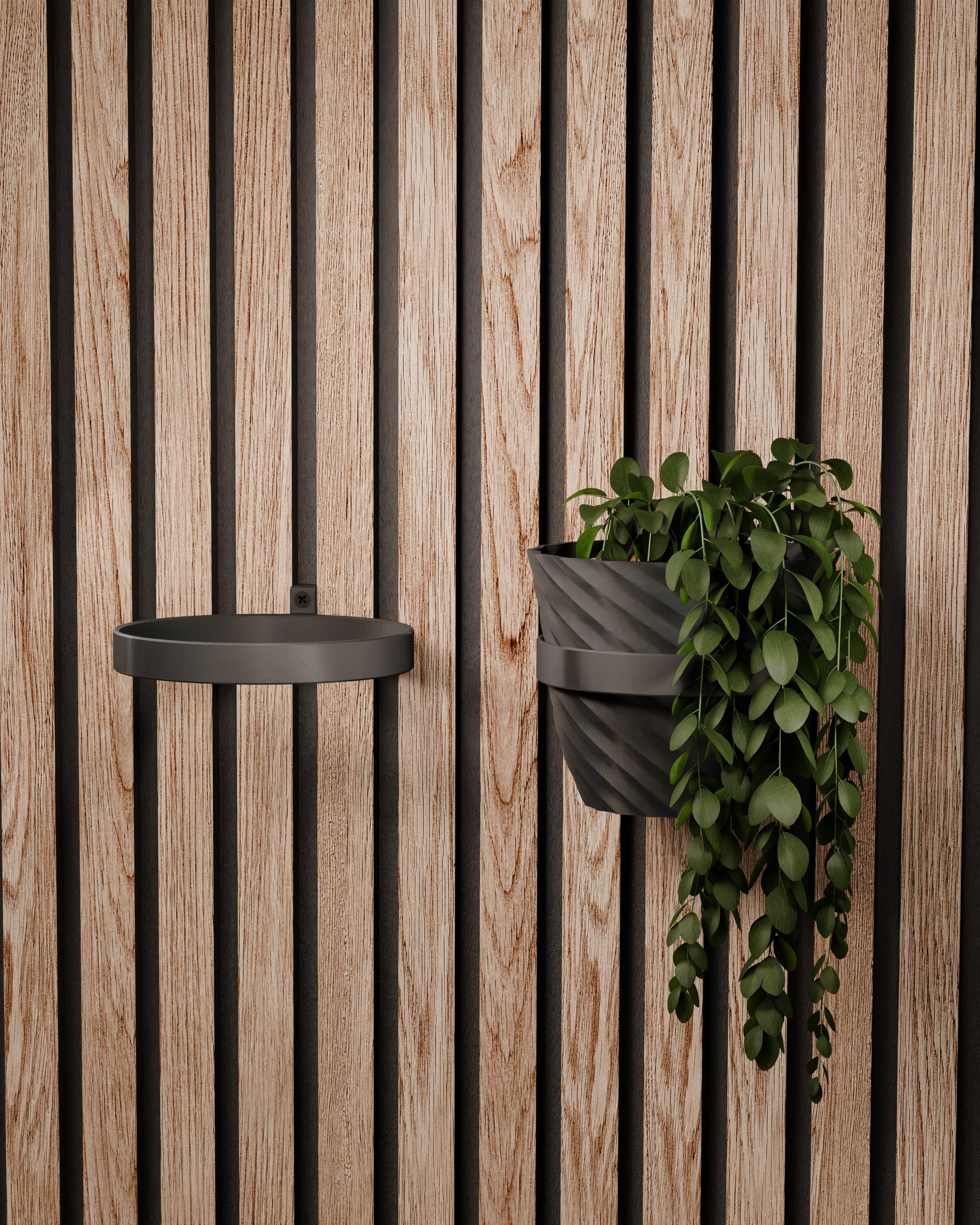 Plantenhouder/ring voor akoestische panelen - Installatietype: Schroef-in