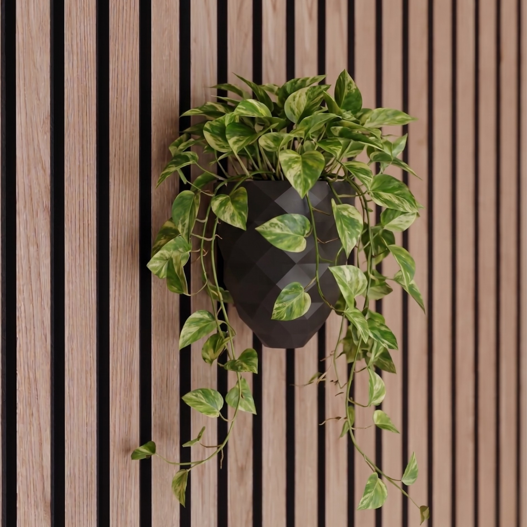 Plant vase for acoustic panels