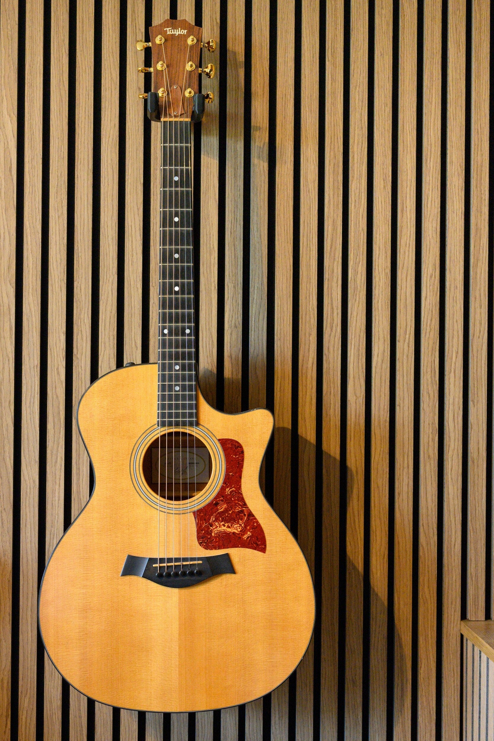 Gitarrenaufhänger für Akustikplatten - Montageart: Einschrauben